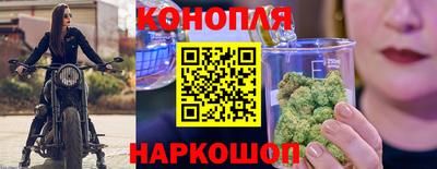 крисы Рыбинск