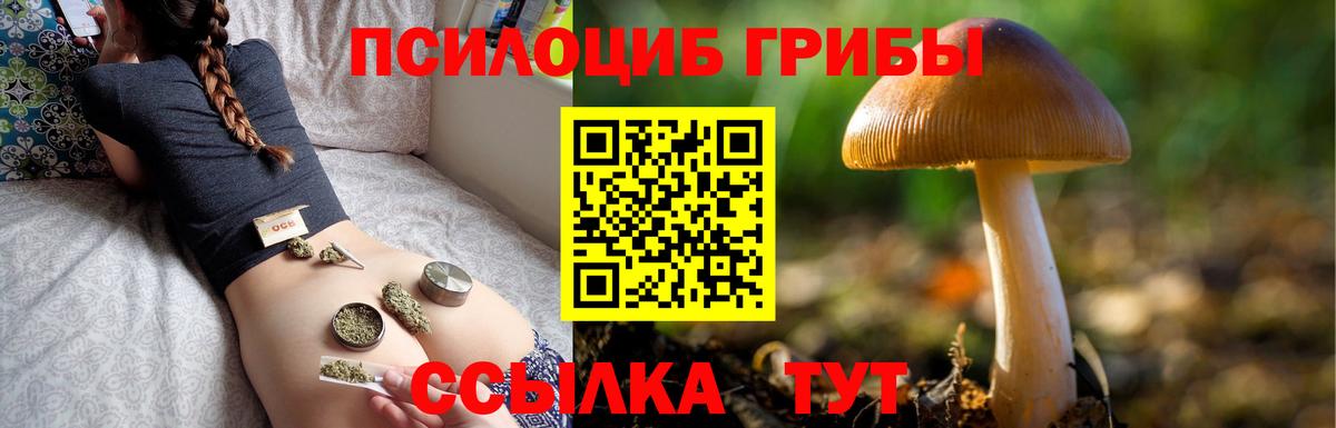 Галлюциногенные грибы ЛСД Петрозаводск