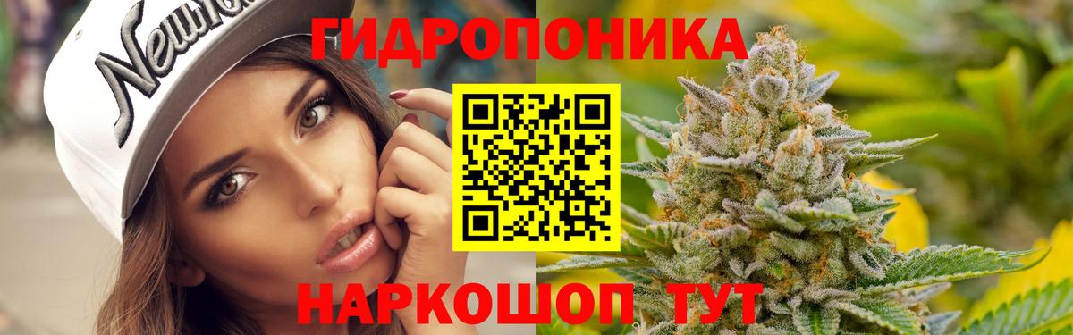 Бошки марихуана Amnesia Петрозаводск